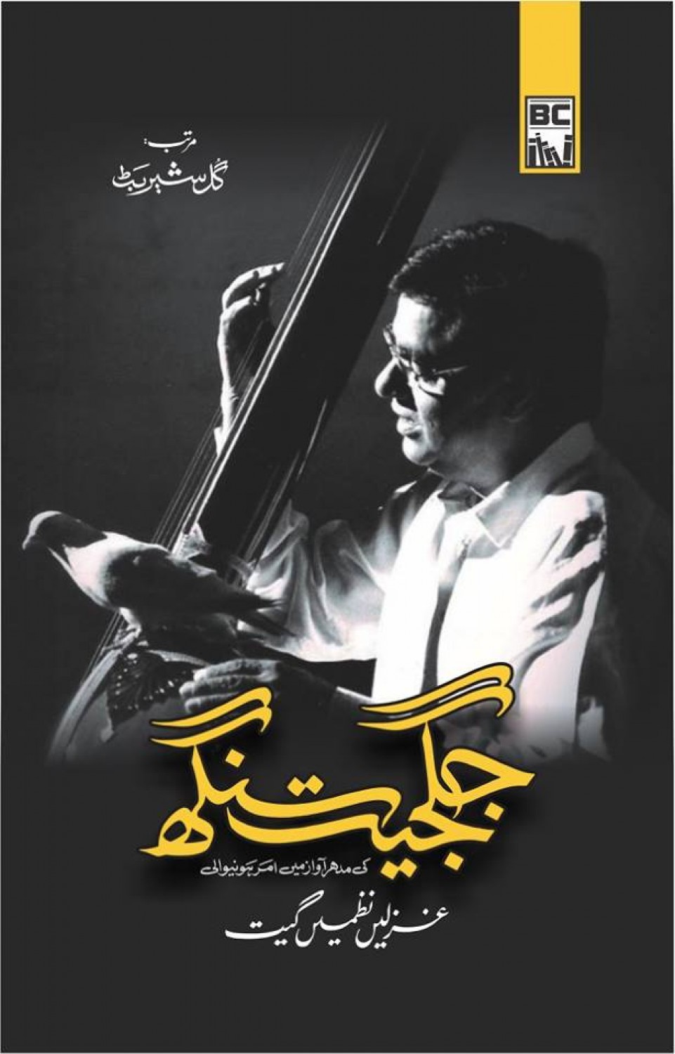 Jagjit Singh - Ghazlain Nazmain Geet (Premium Quality)