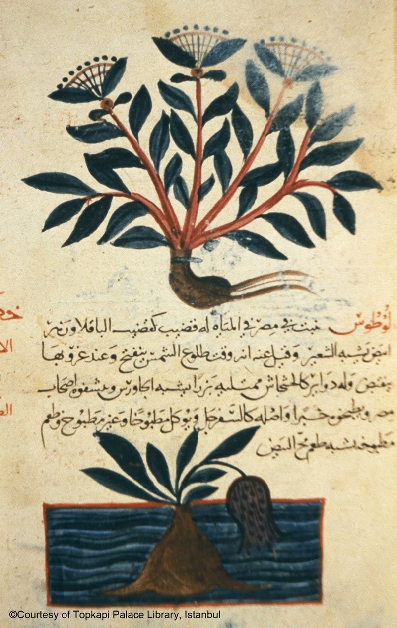 1001 INVENTIONS: THE ENDURING LEGACY OF MUSLIM CIVILIZATION